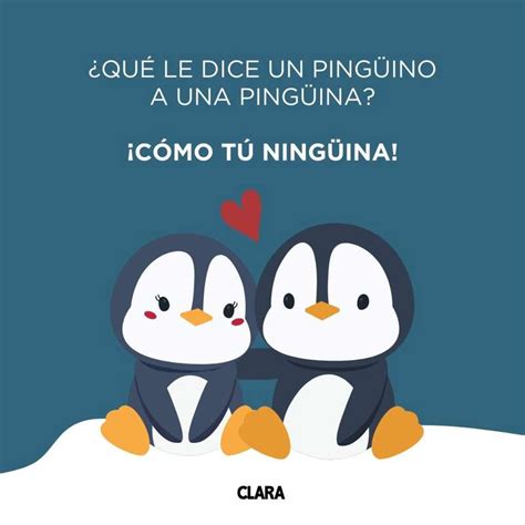 chistes malos graciosos|250 chistes malos y cortos que al final dan risa